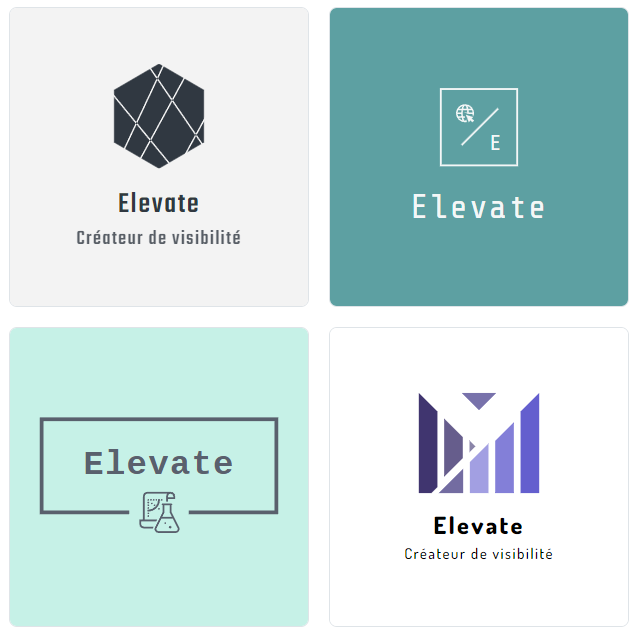 Hatchful by Shopify - Exemple